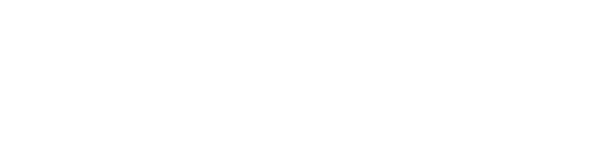 Your site will be build on the lightning fast, secure and responsive Webflow platform.